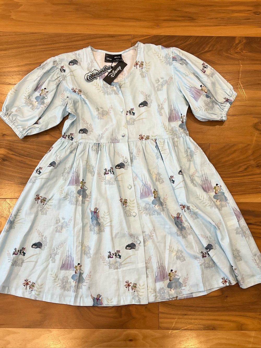 Cakeworthy Cinderella dress